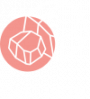 Iron