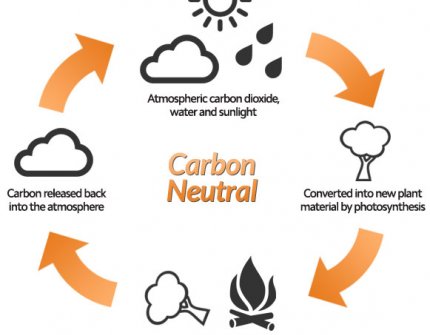 carbon neutral oil
